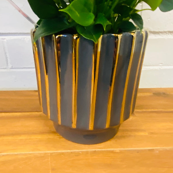 Lux Pot 3 colours