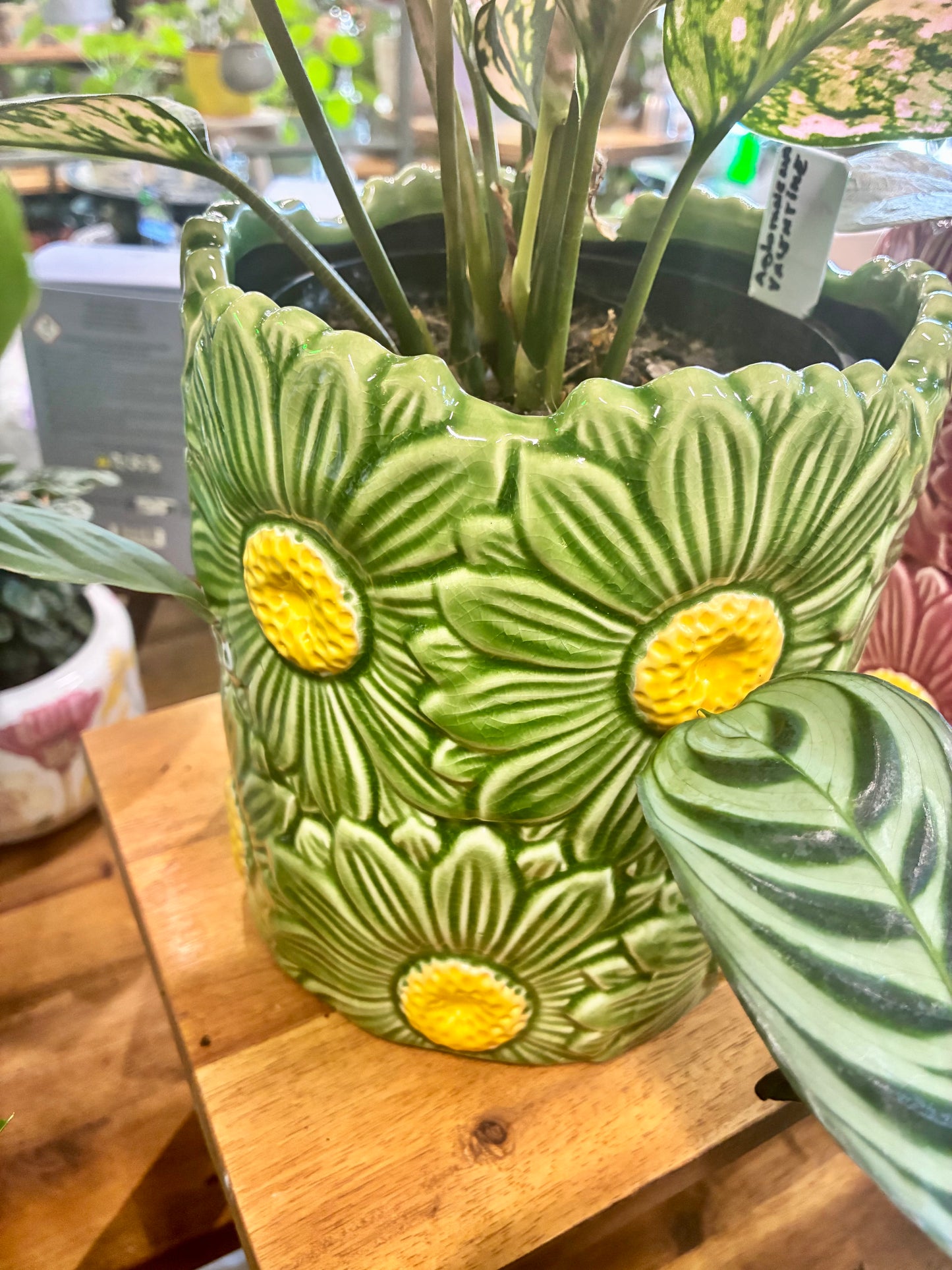 Daisy Cylinder Pot - 3 Colours
