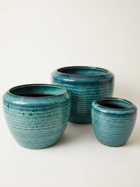 Suri Egg S/3 - Blue