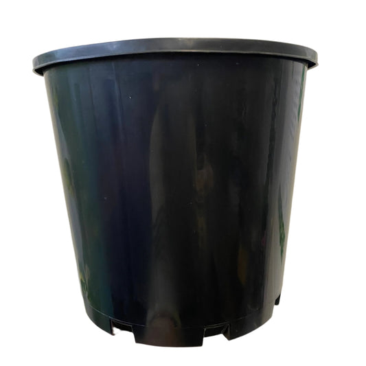 Black Plastic Growers Pot 200mm