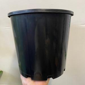 Black Plastic Growers Pot 200mm