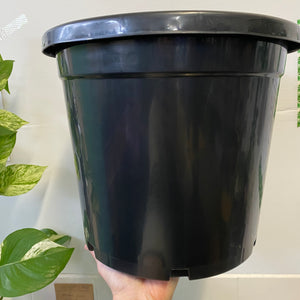 Black Plastic Growers Pot 300mm
