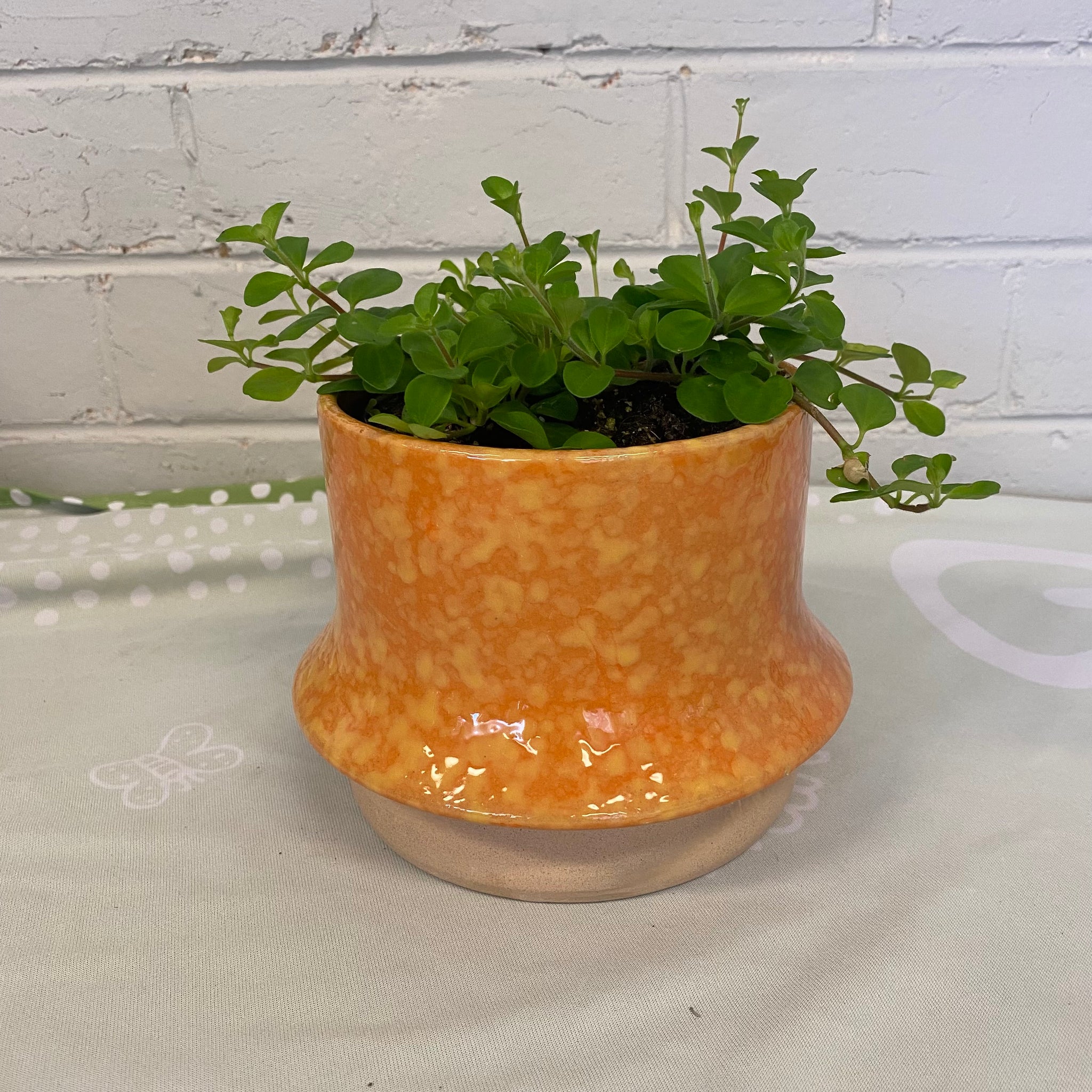 Lennon Pot - Orange