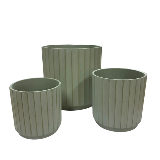 Cedar Tapered Cylinder - 3 sizes - Sage