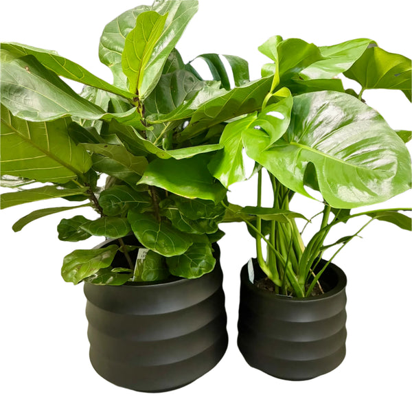 Ellipse Pots Round Set of 2 - Black