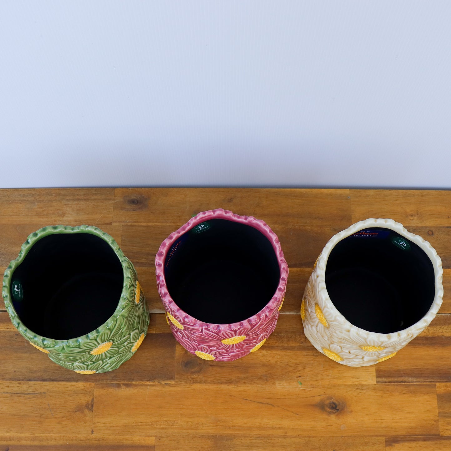 Daisy Cylinder Pot - 3 Colours