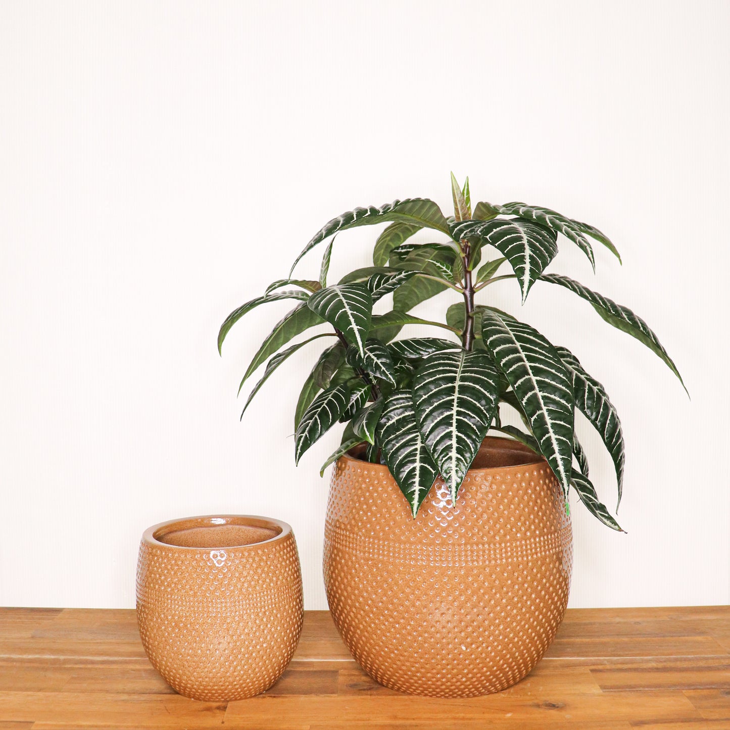 Aya Egg Pots S/3 - Terracotta