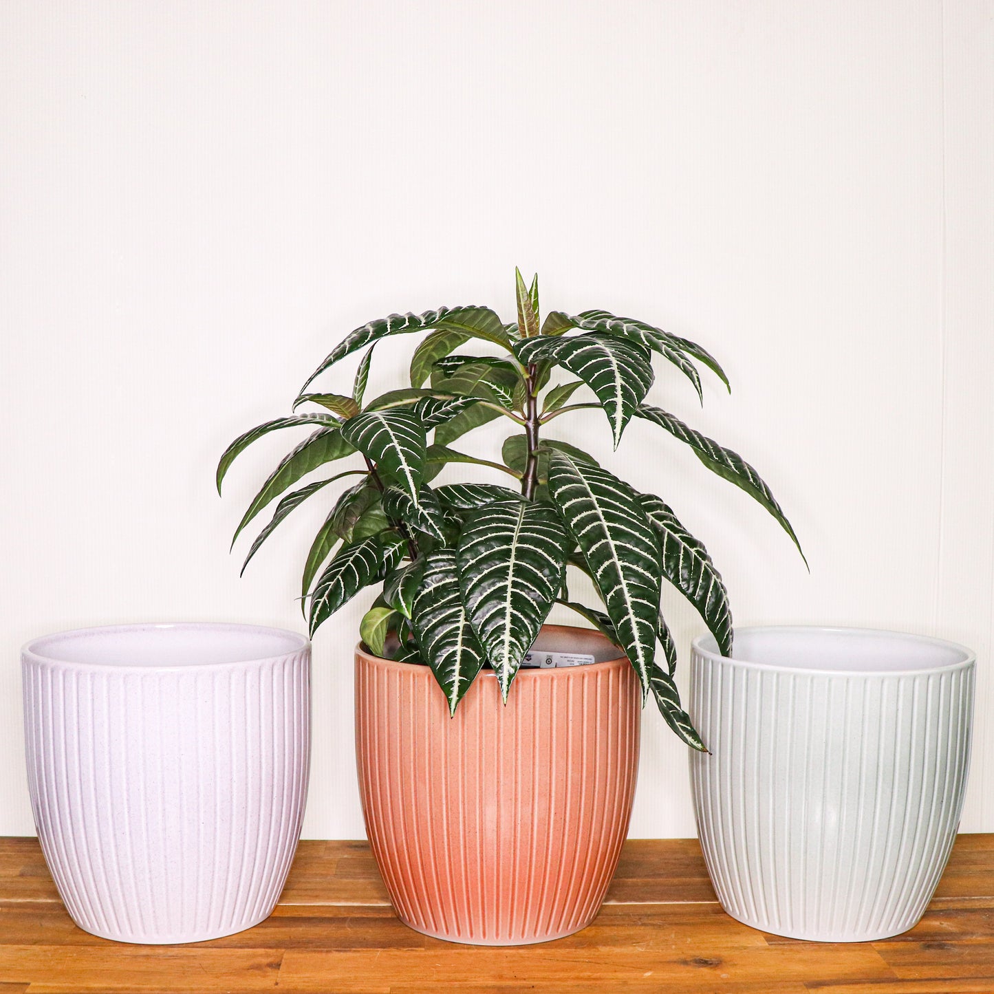 Belice Pots - 20cm - 3 colours