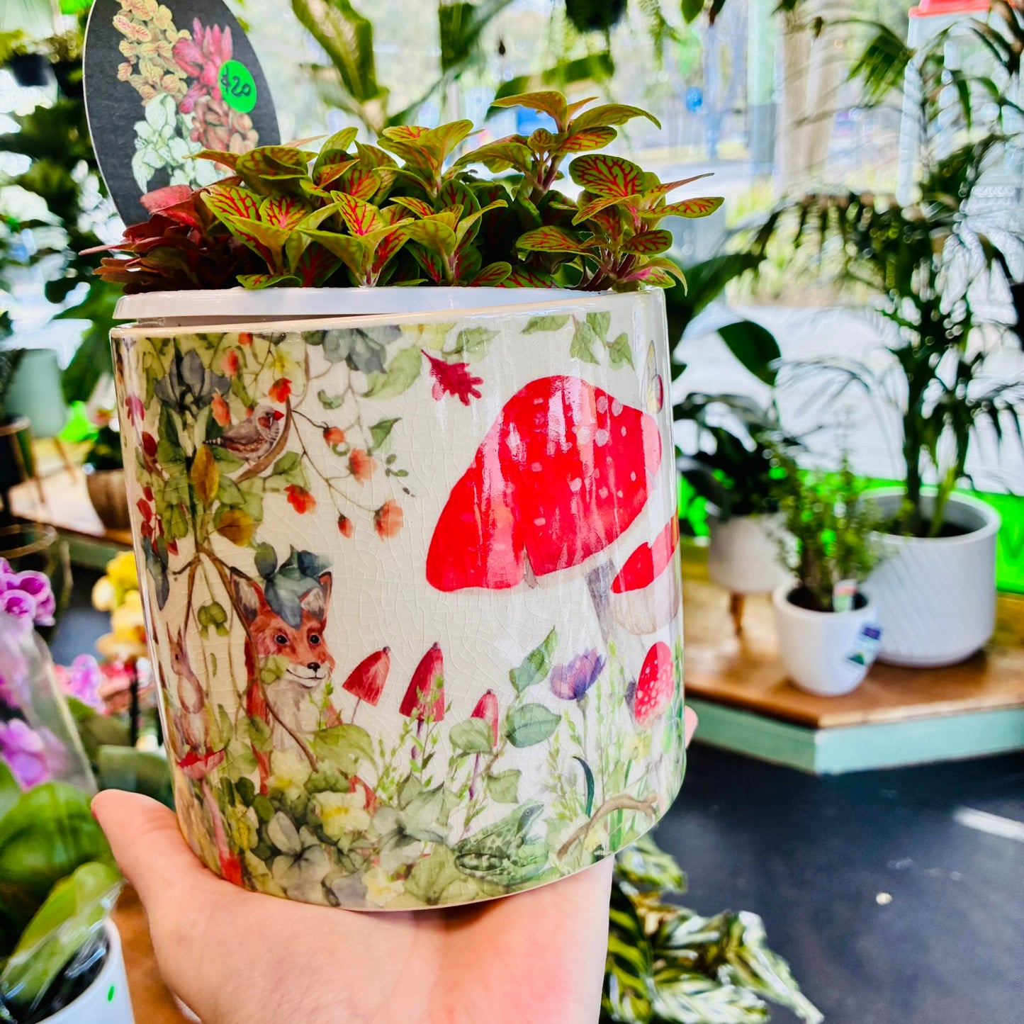 Enchanted Garden Planter Red - Medium