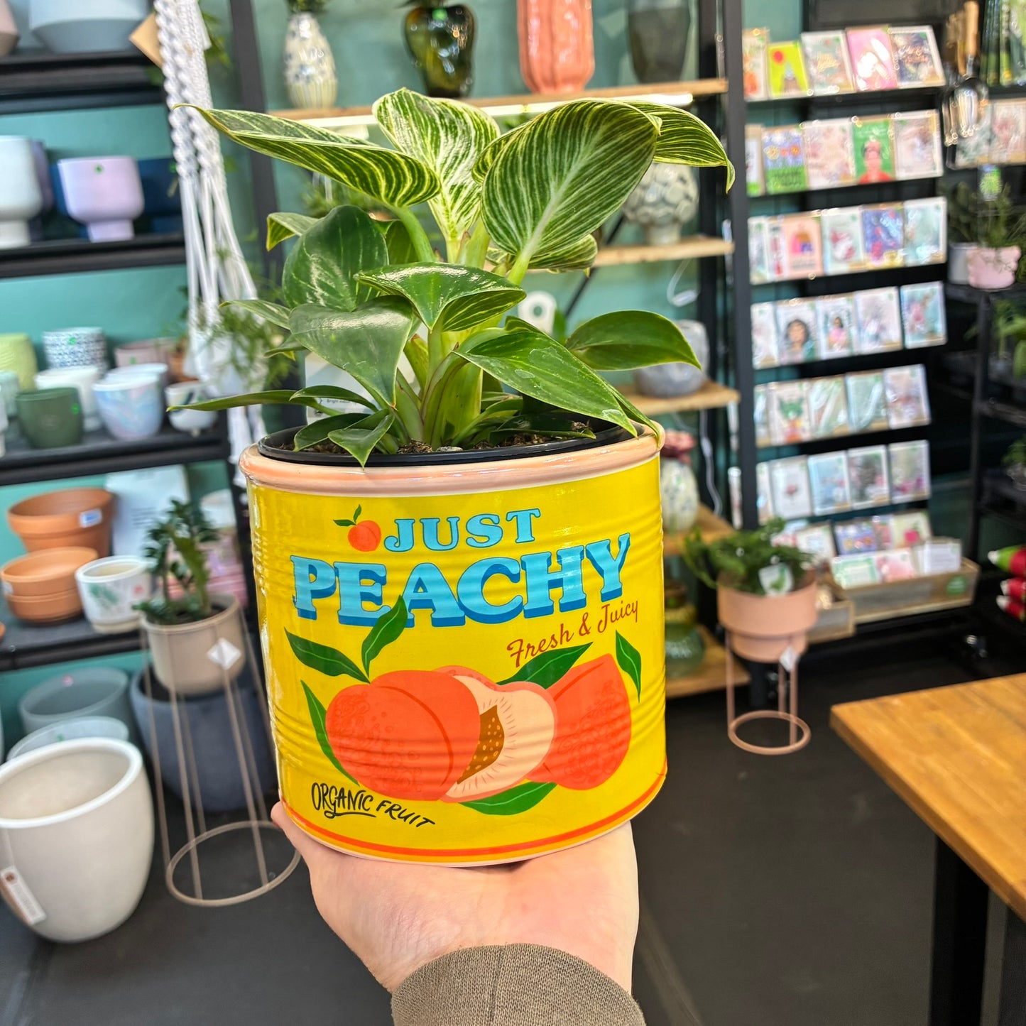 Just Peachy Can Planter Yellow 12cm