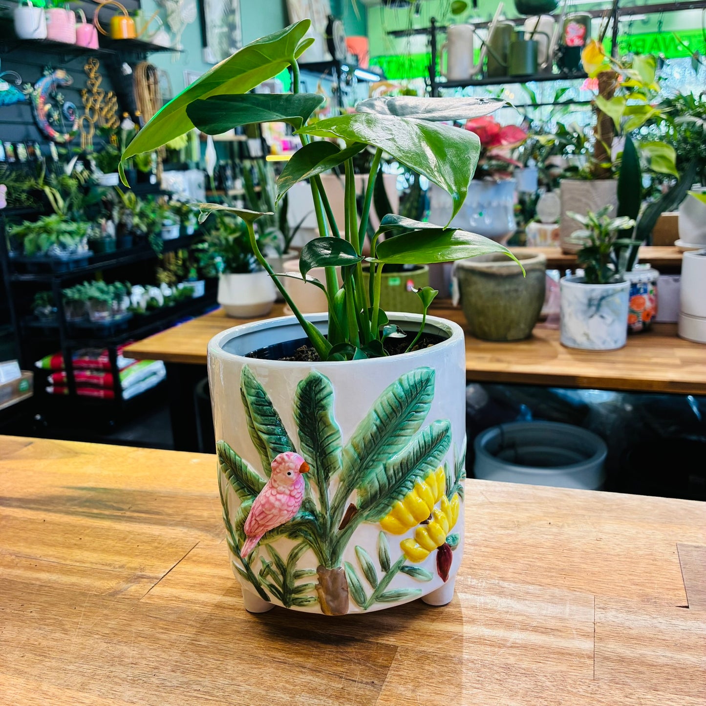 Tropical Bird Planter 15cm