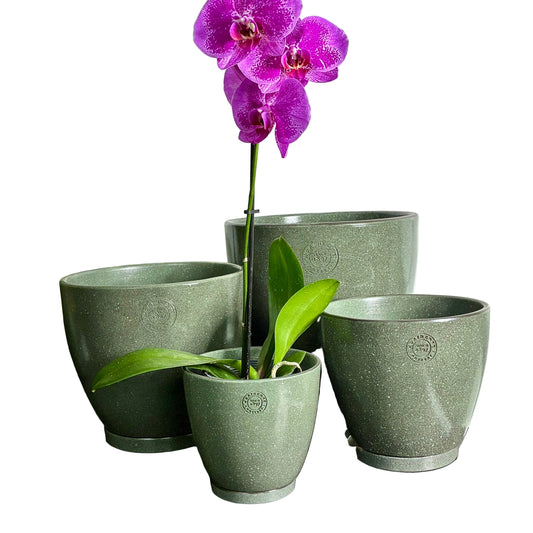 Stipple Egg S/4 - 3 colours