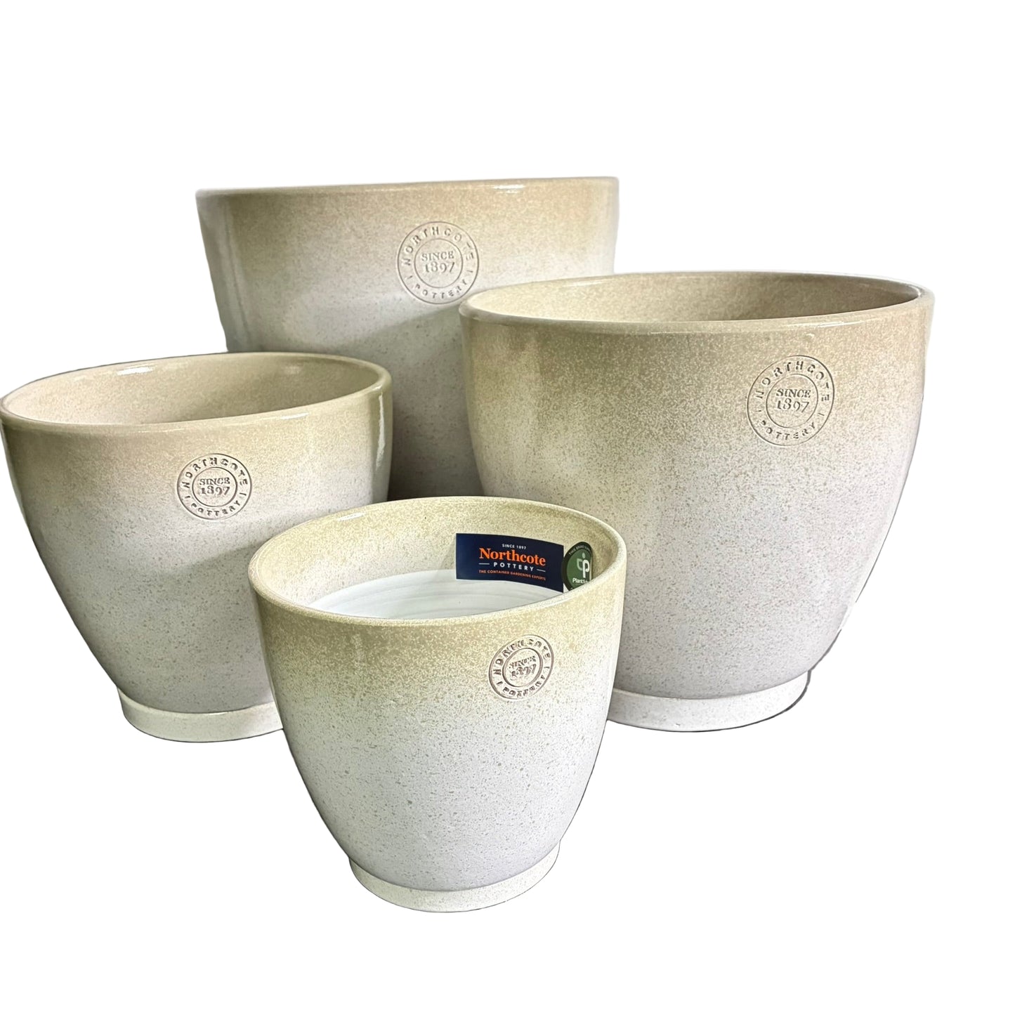 Stipple Egg S/4 - 3 colours