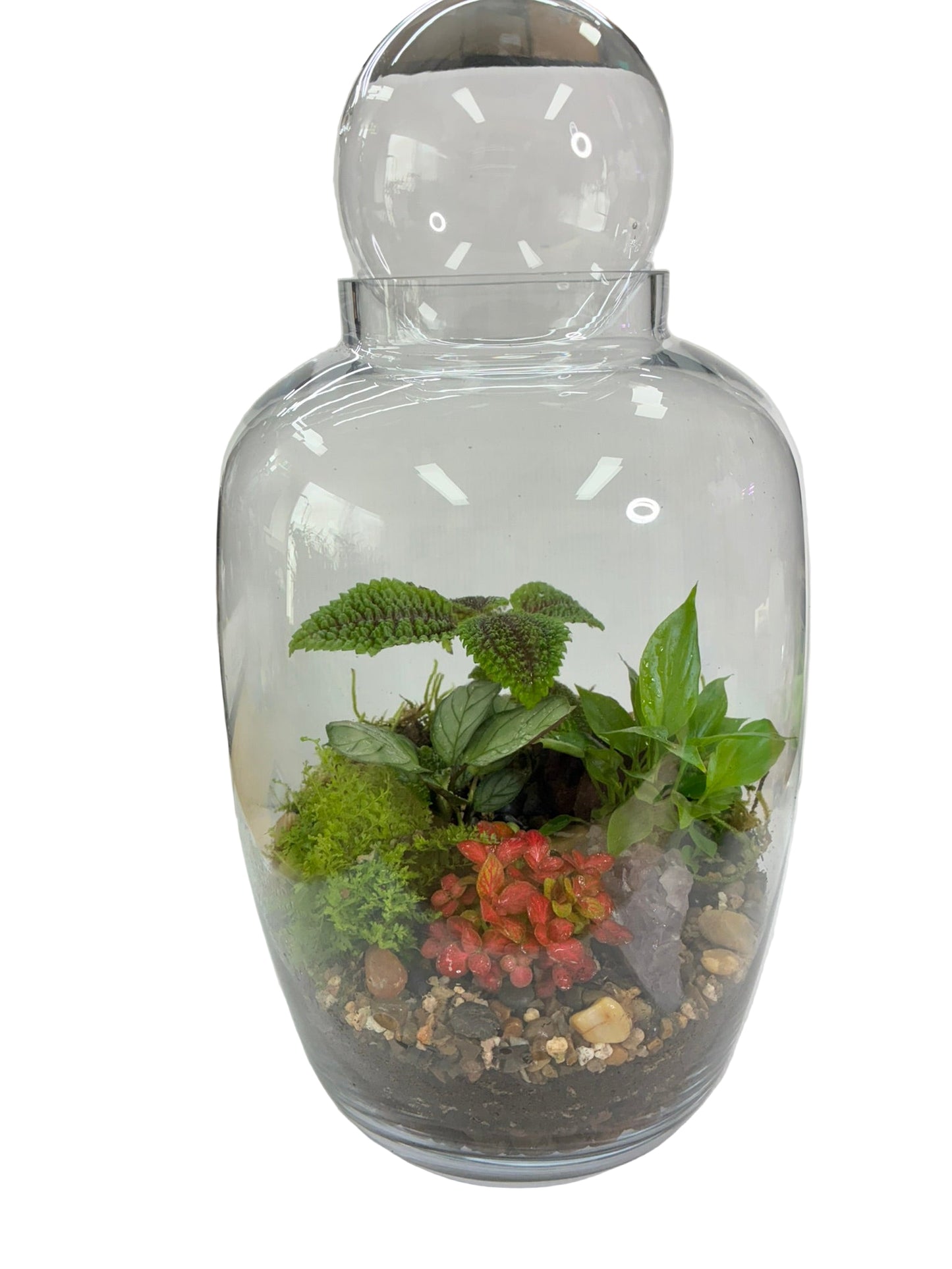 Large Glass Barrel Terrarium with Glass Ball