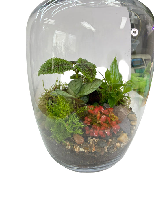 Large Glass Barrel Terrarium with Glass Ball