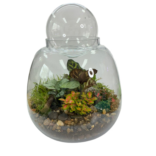 Round Glass Terrarium Bowl with Ball Large
