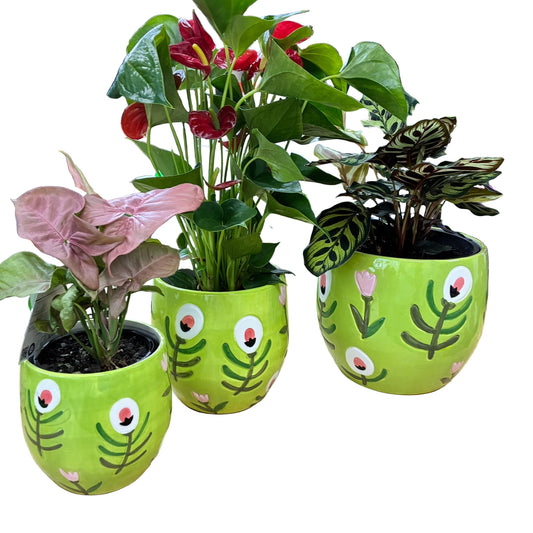 Green Pink Flower Pot - 3 sizes
