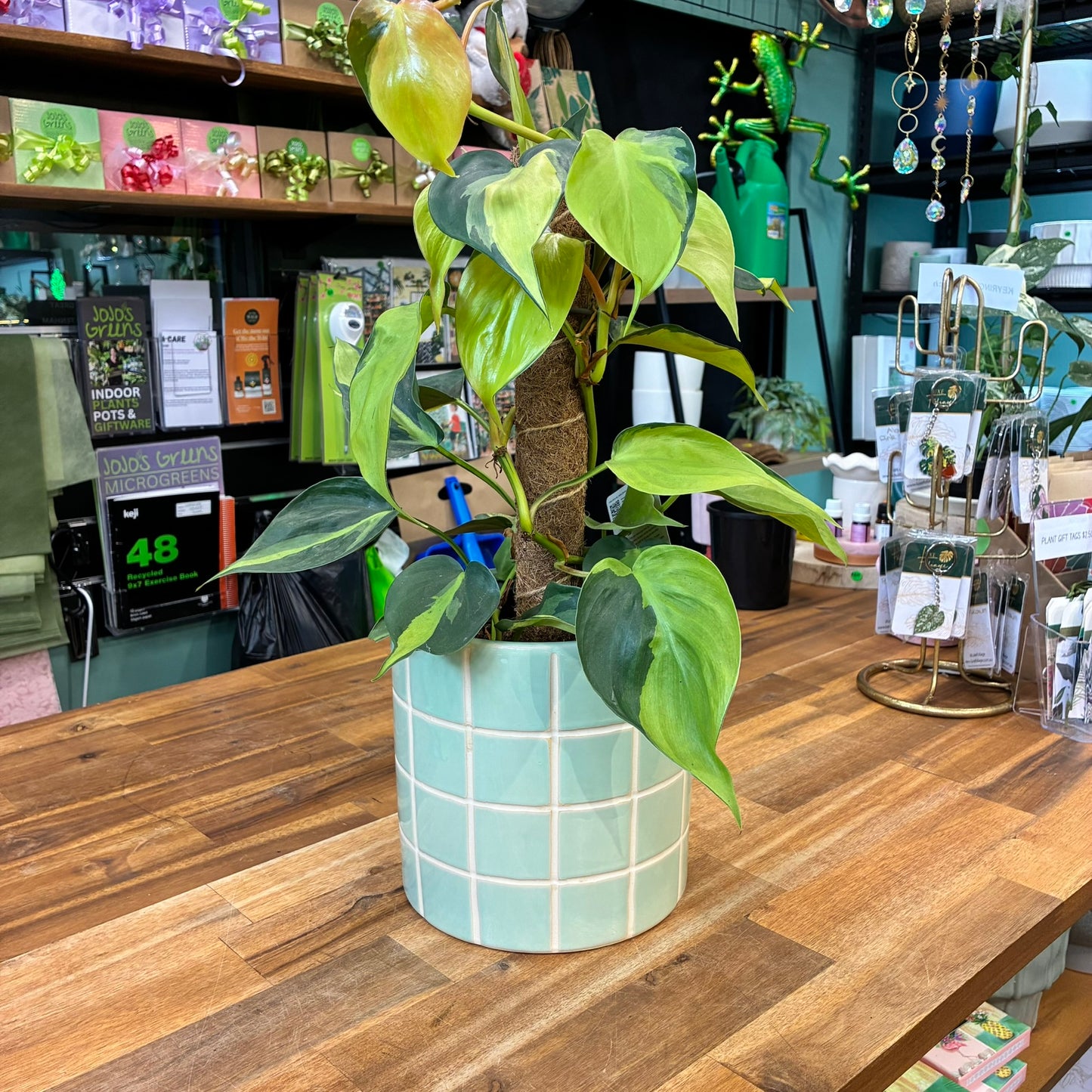 Boyd Ceramic Tile Pot Mint