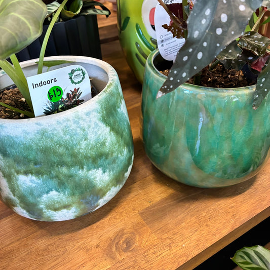 Duke Ceramic Pot - 2 colours