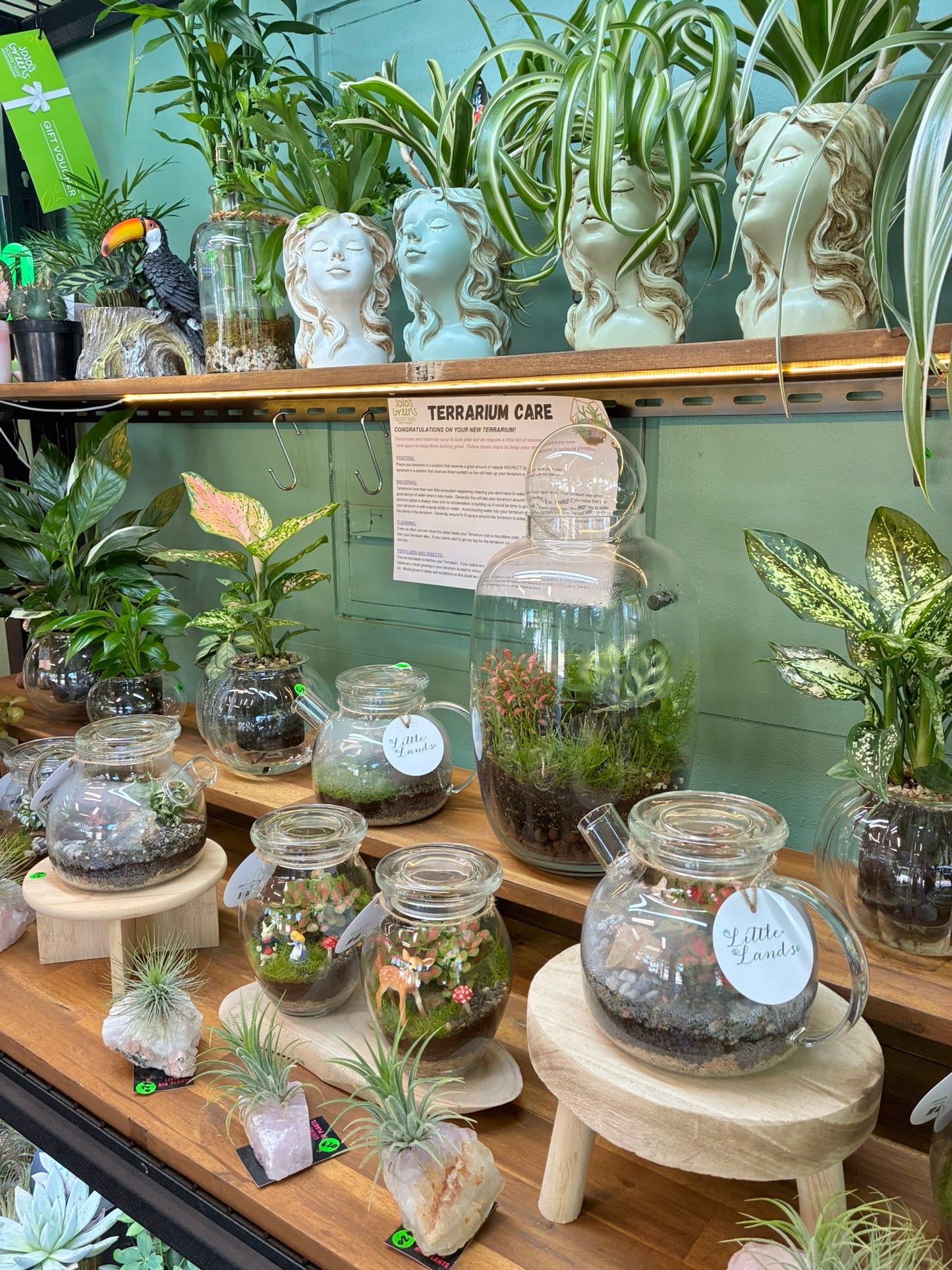 Little Lands - Tea Pot Terrarium