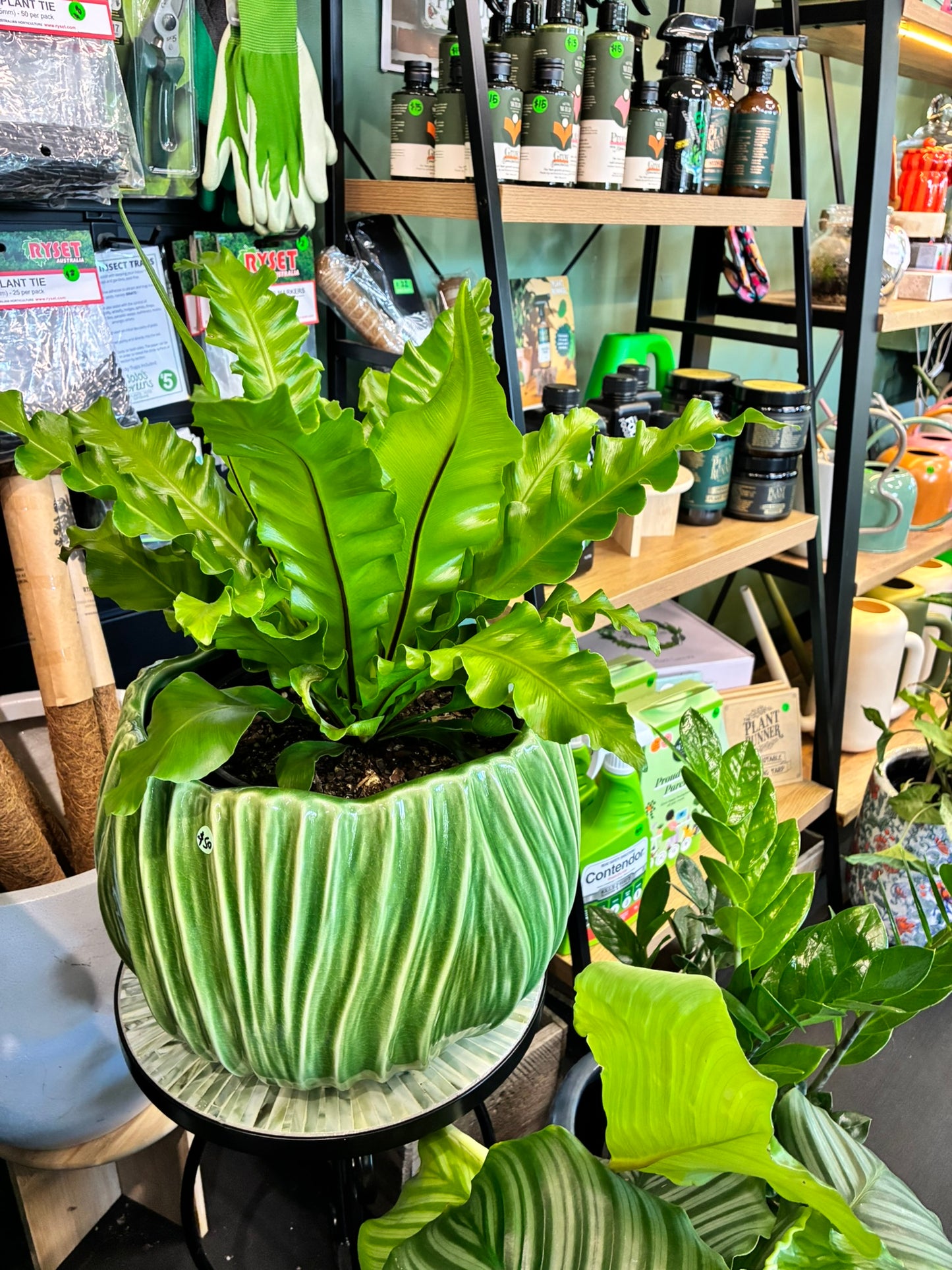 Tulip Pot S/2 Green