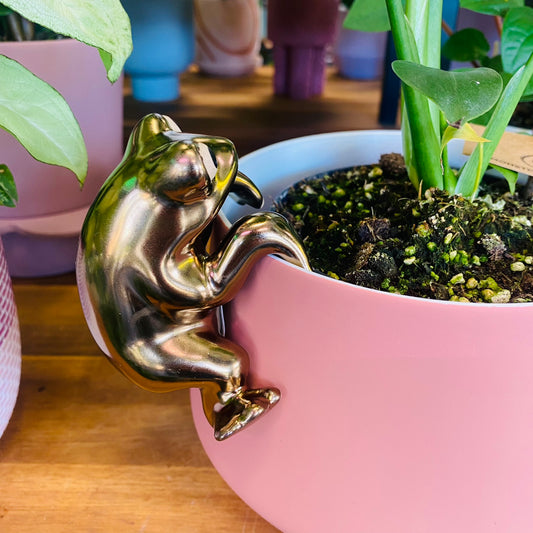 Frog Pot Hanger Gold