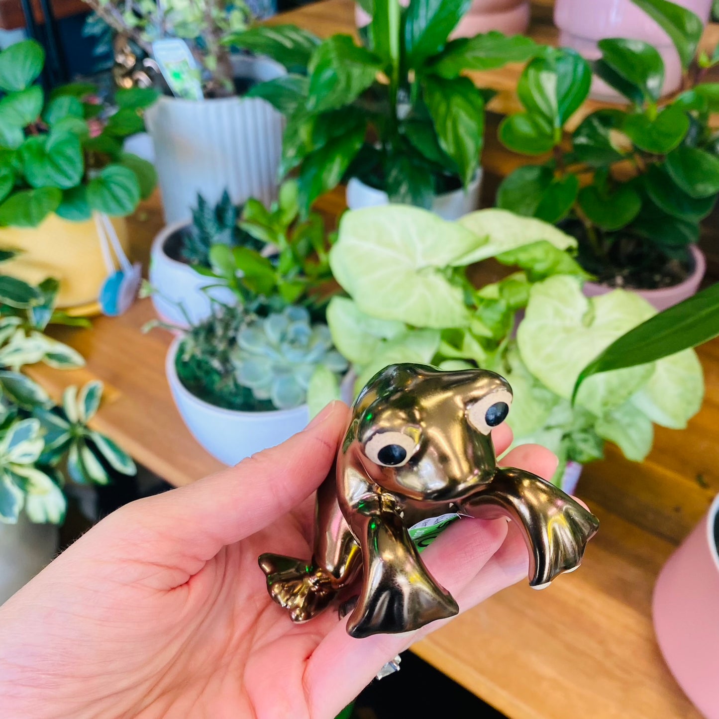 Frog Pot Hanger Gold