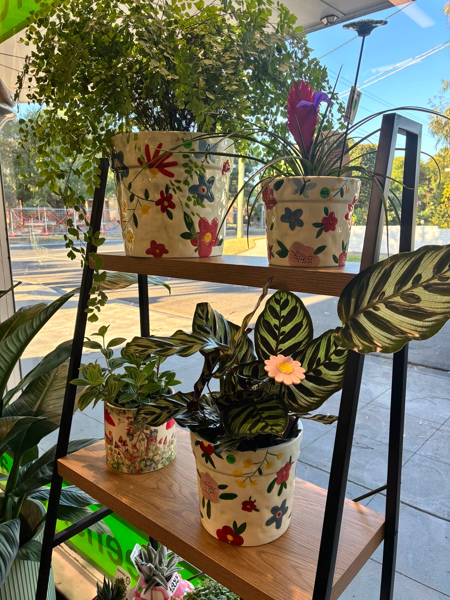 Colourful Flower Planters S/3