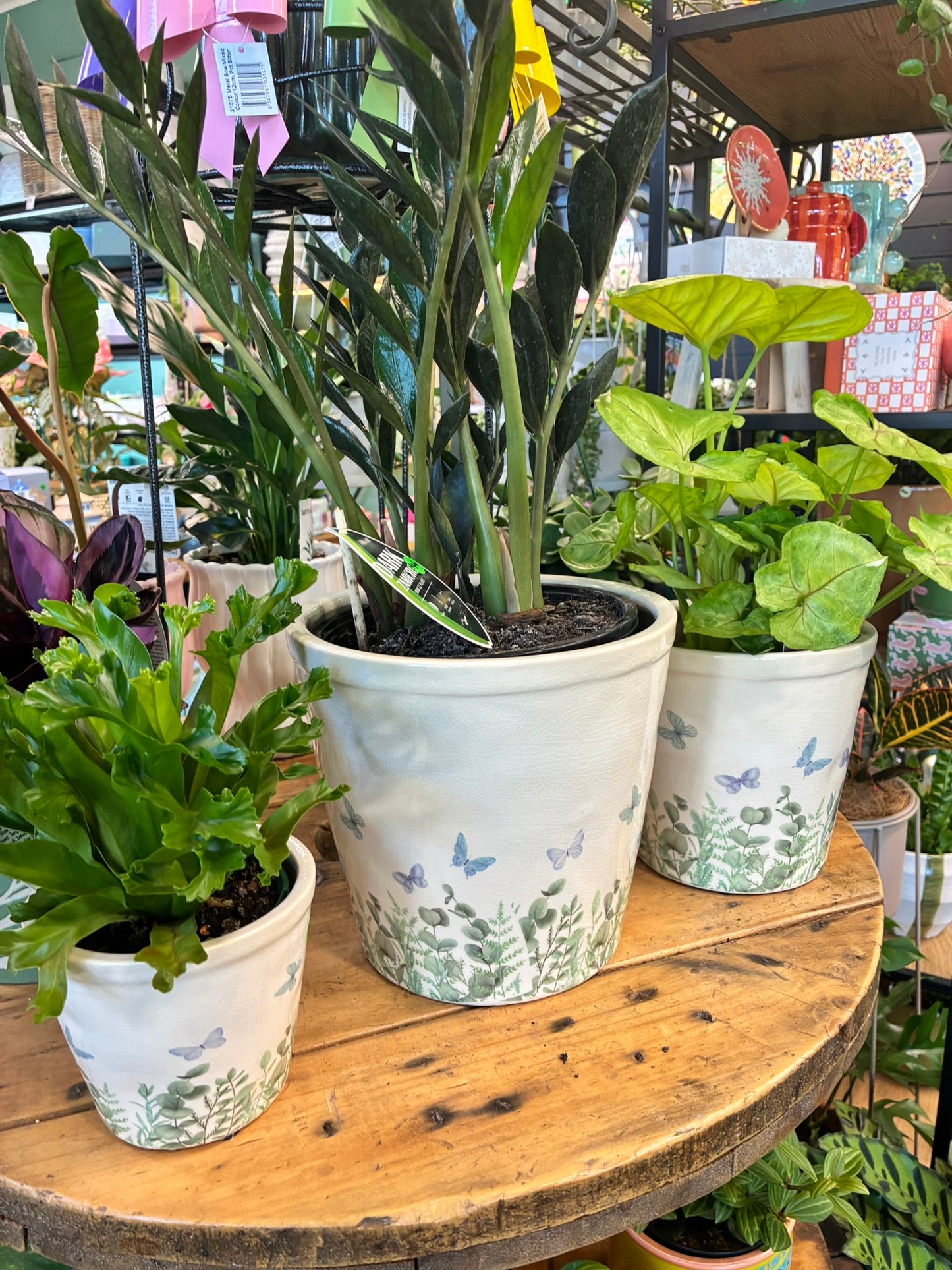 Butterly Pots S/3