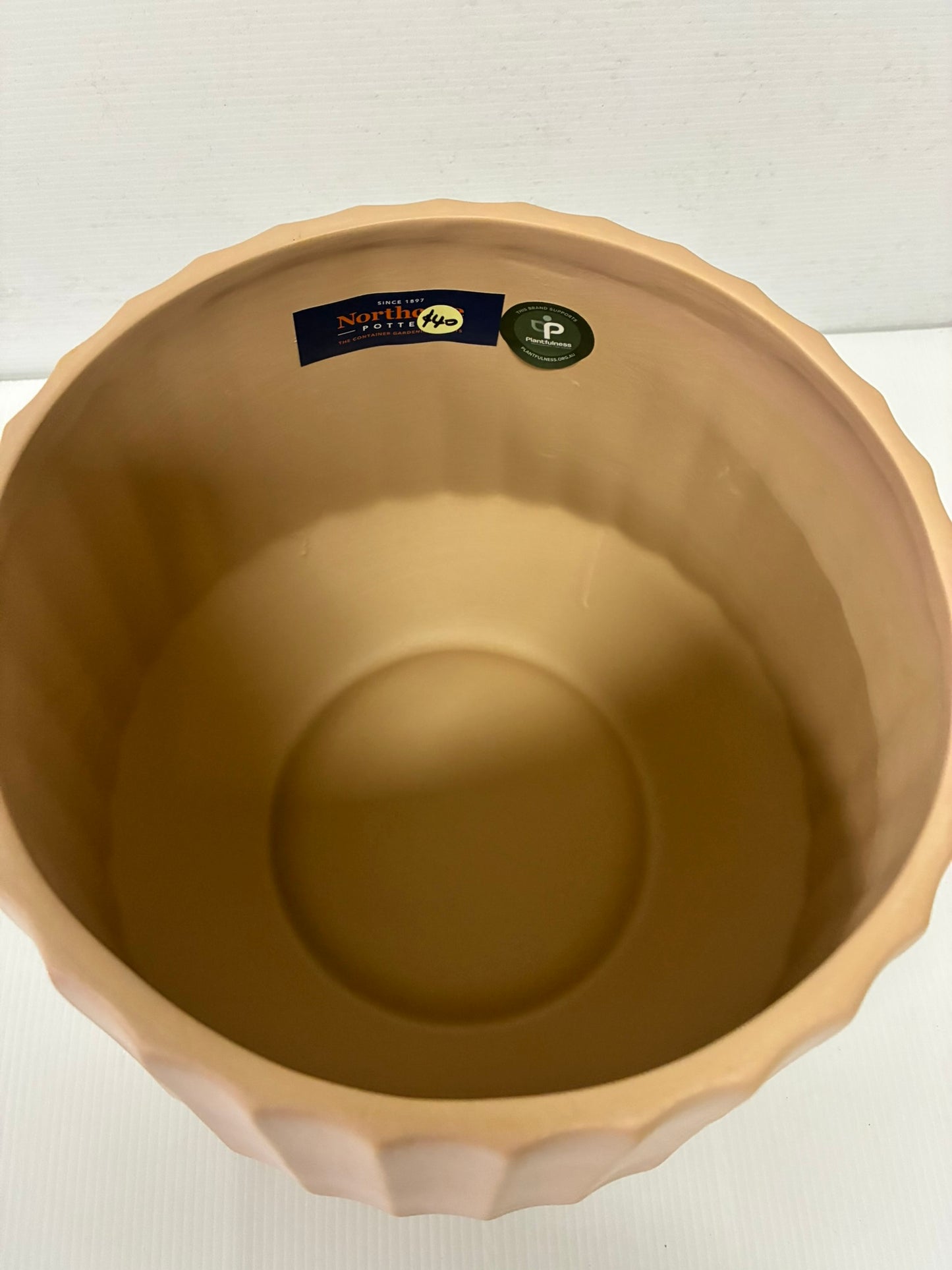 Cove Drum Pot  - Clay
