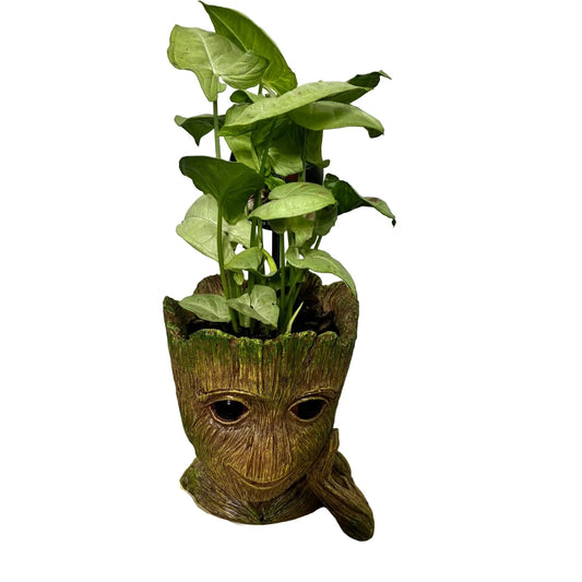 groot
