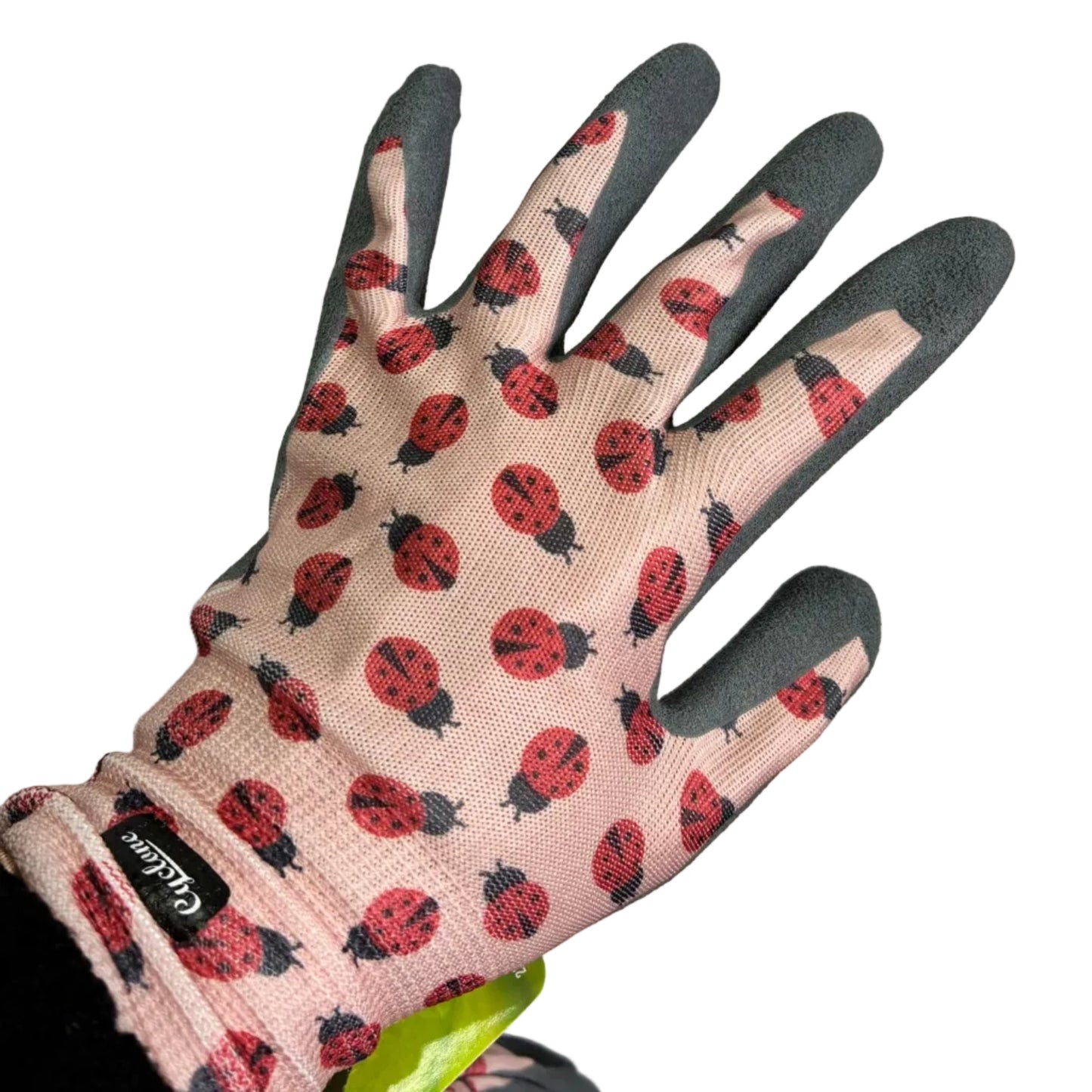 ladybug