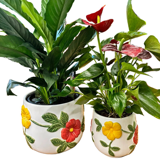 Two decorative white ceramic planters with colorful floral designs, holding green houseplants, displayed on a wooden shelf in a retail store.