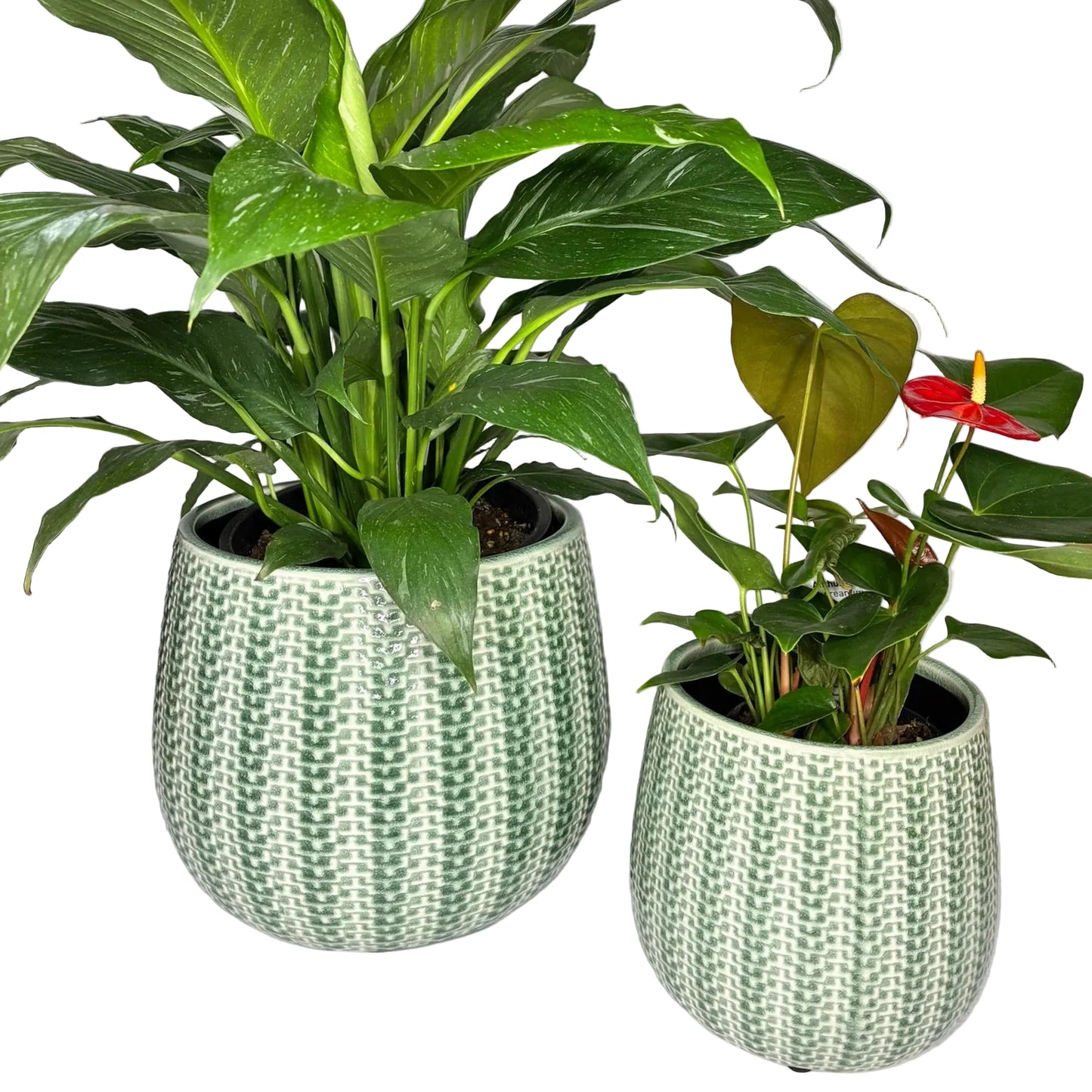 Coastal Pot S/2 - Green