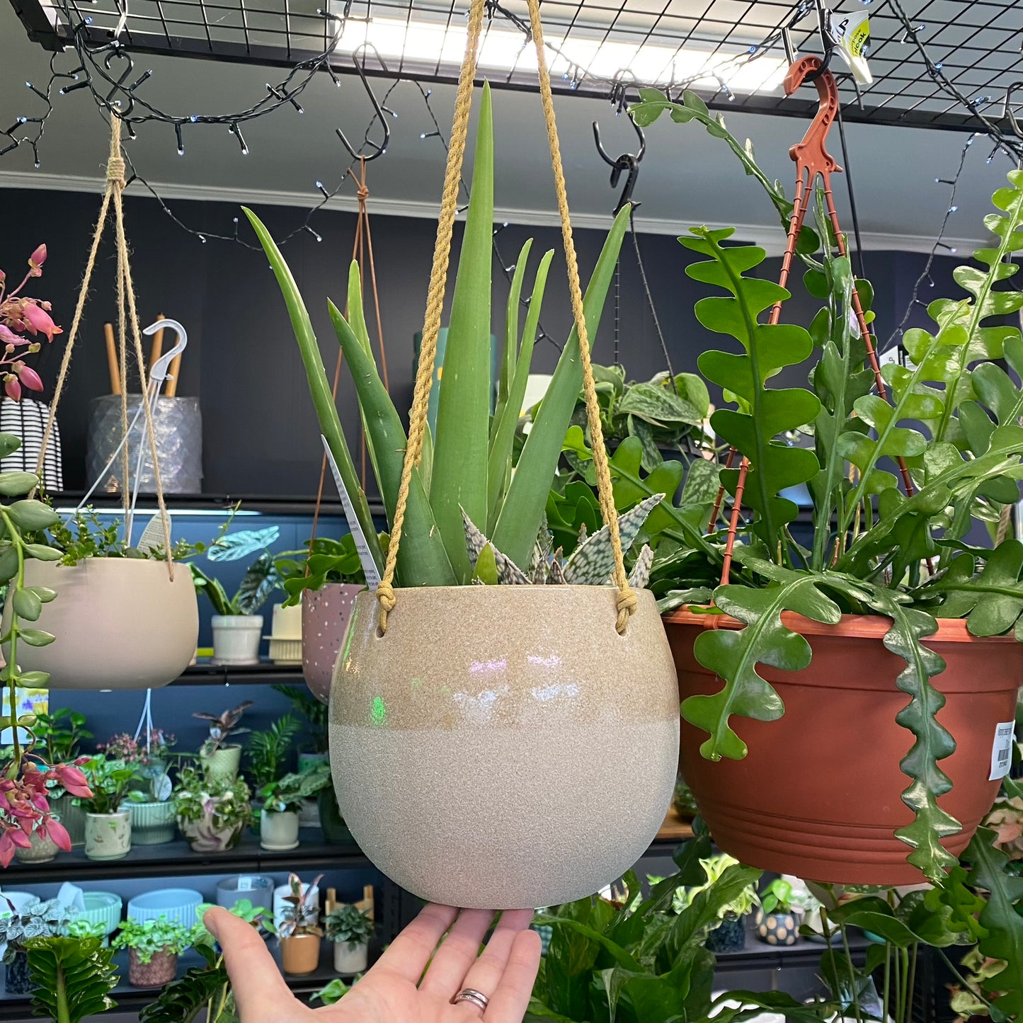 Capri Hanging Pot - Clay