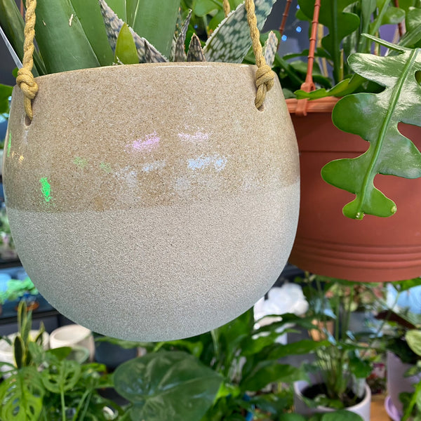 Capri Hanging Pot - Clay