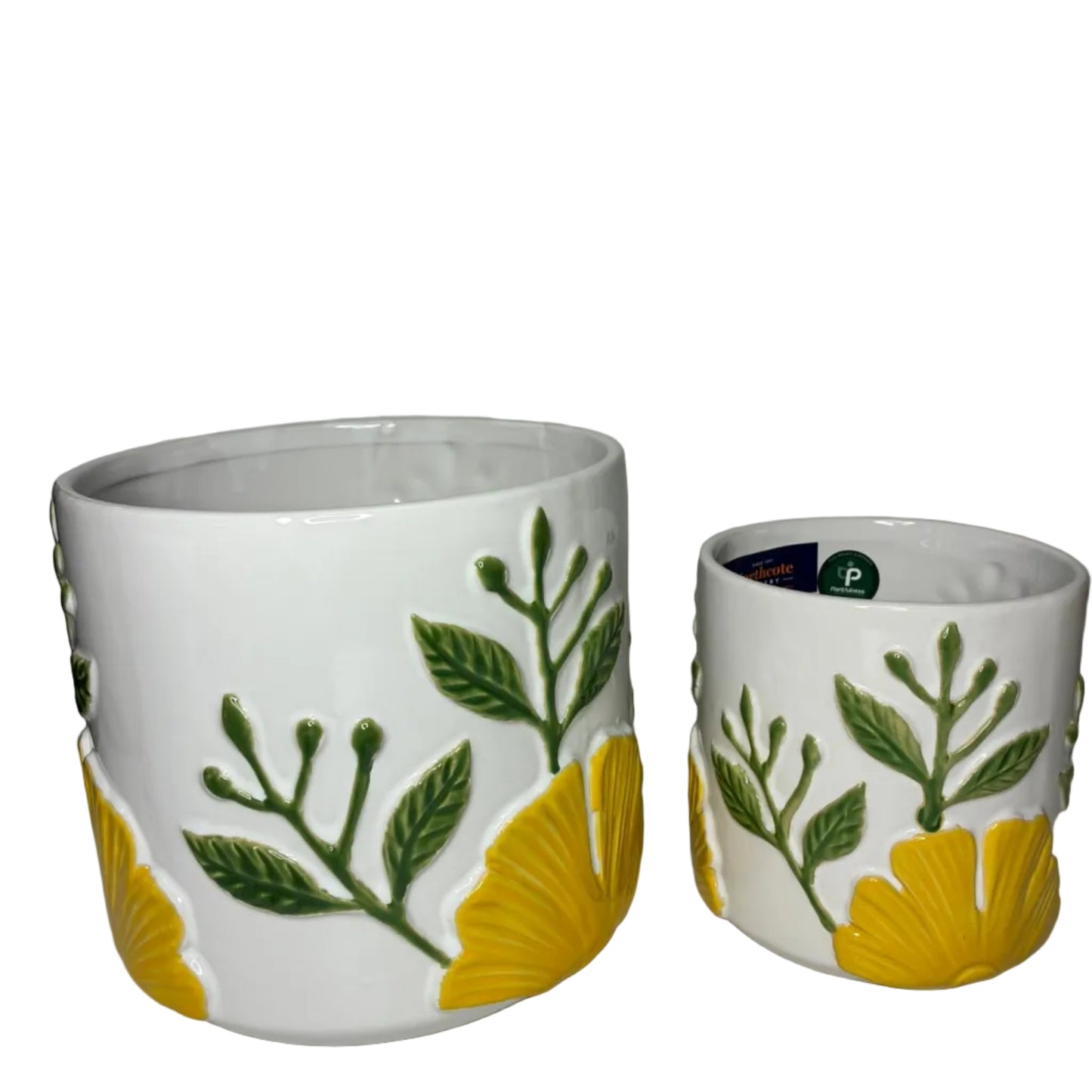 Yellow Flower Pots S/2