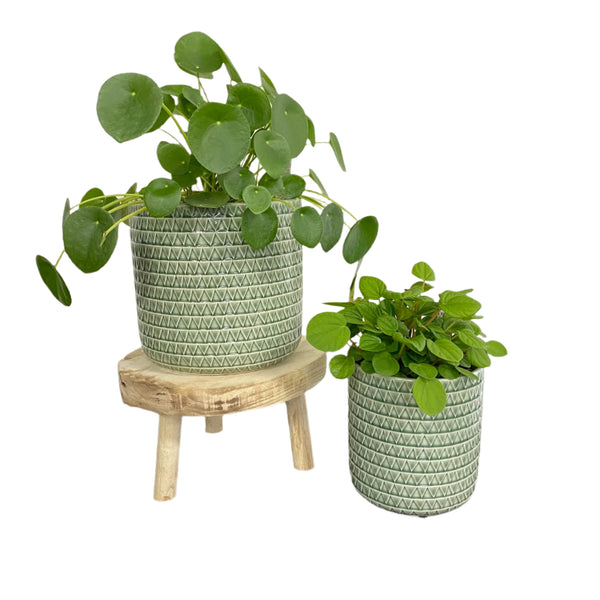 Laila Cylinder S/2 Pots Sage