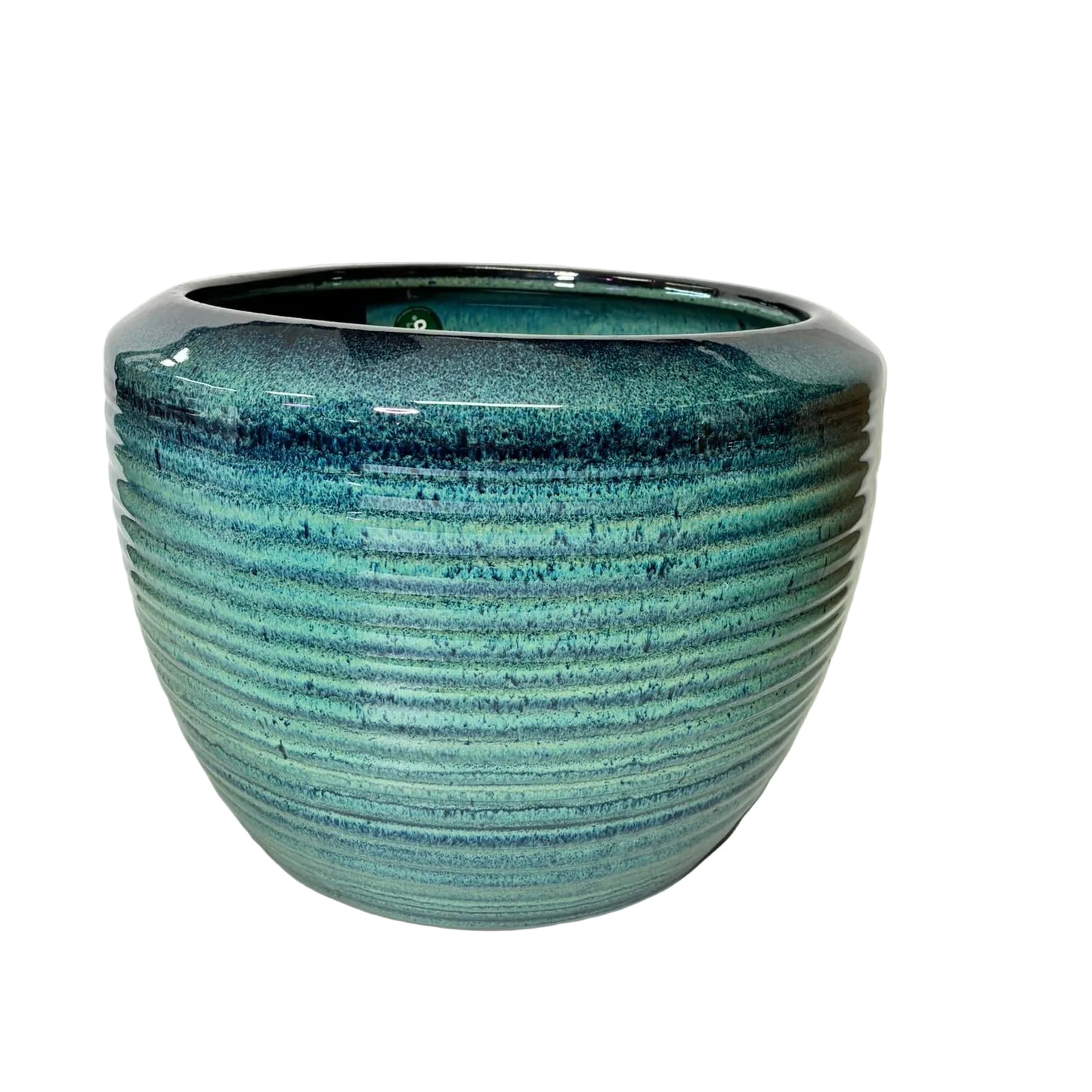 Suri Egg S/3 - Blue