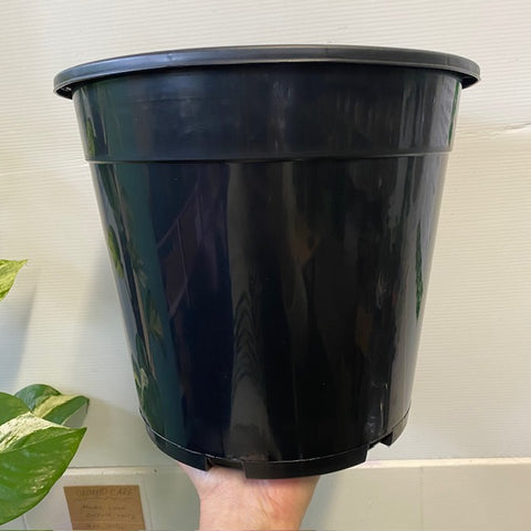 Black Plastic Growers Pot 250mm
