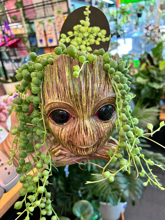 Baby ‘Groot’ Planter with plant