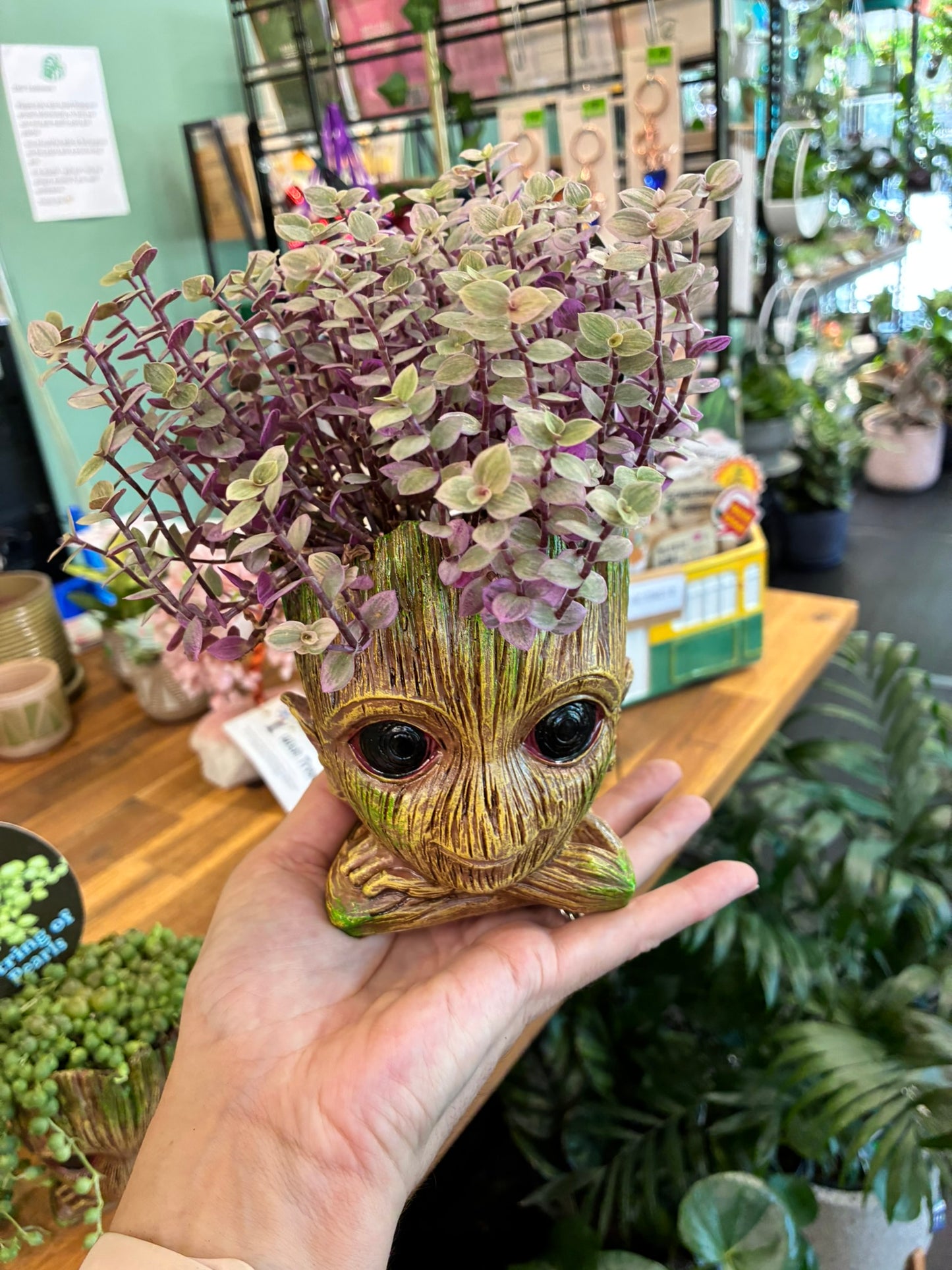 Baby ‘Groot’ Planter with plant