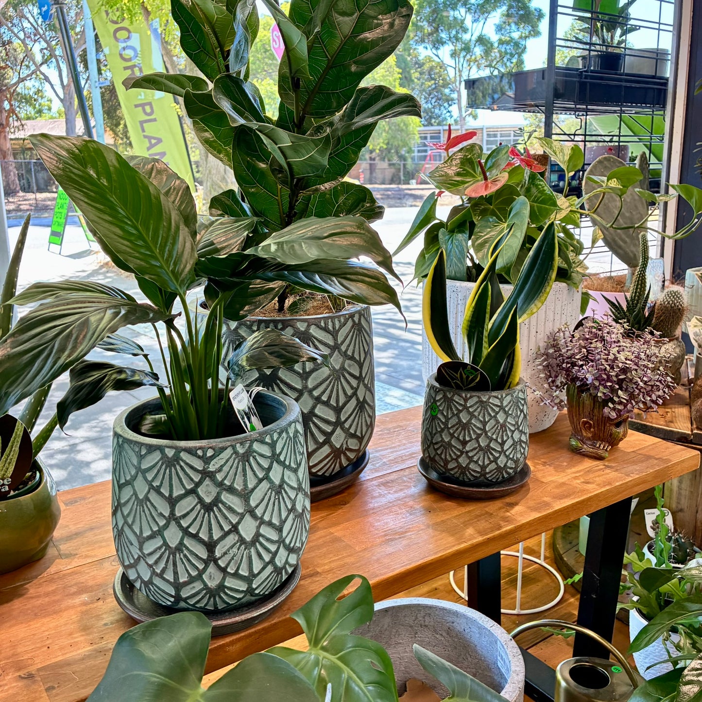 Deco Pots with Saucers - Teal - 3 sizes