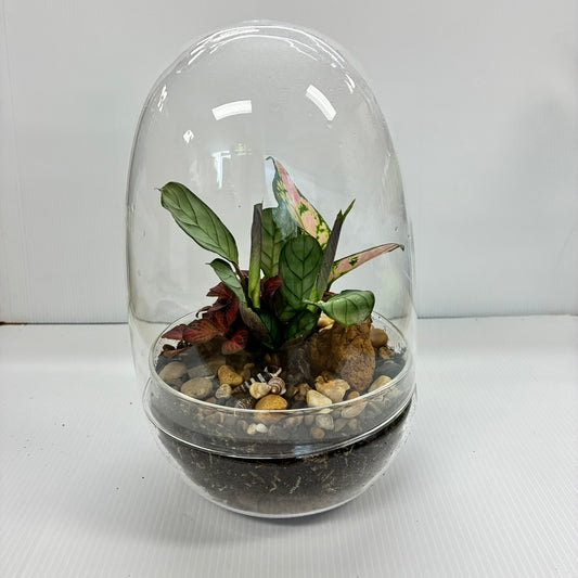 Egg Glass Terrarium