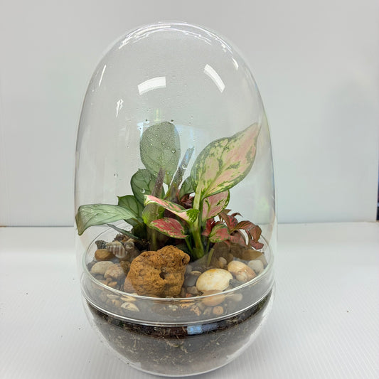 Egg Glass Terrarium