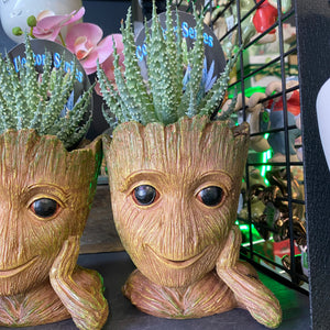 ‘Groot’ Planter with plants