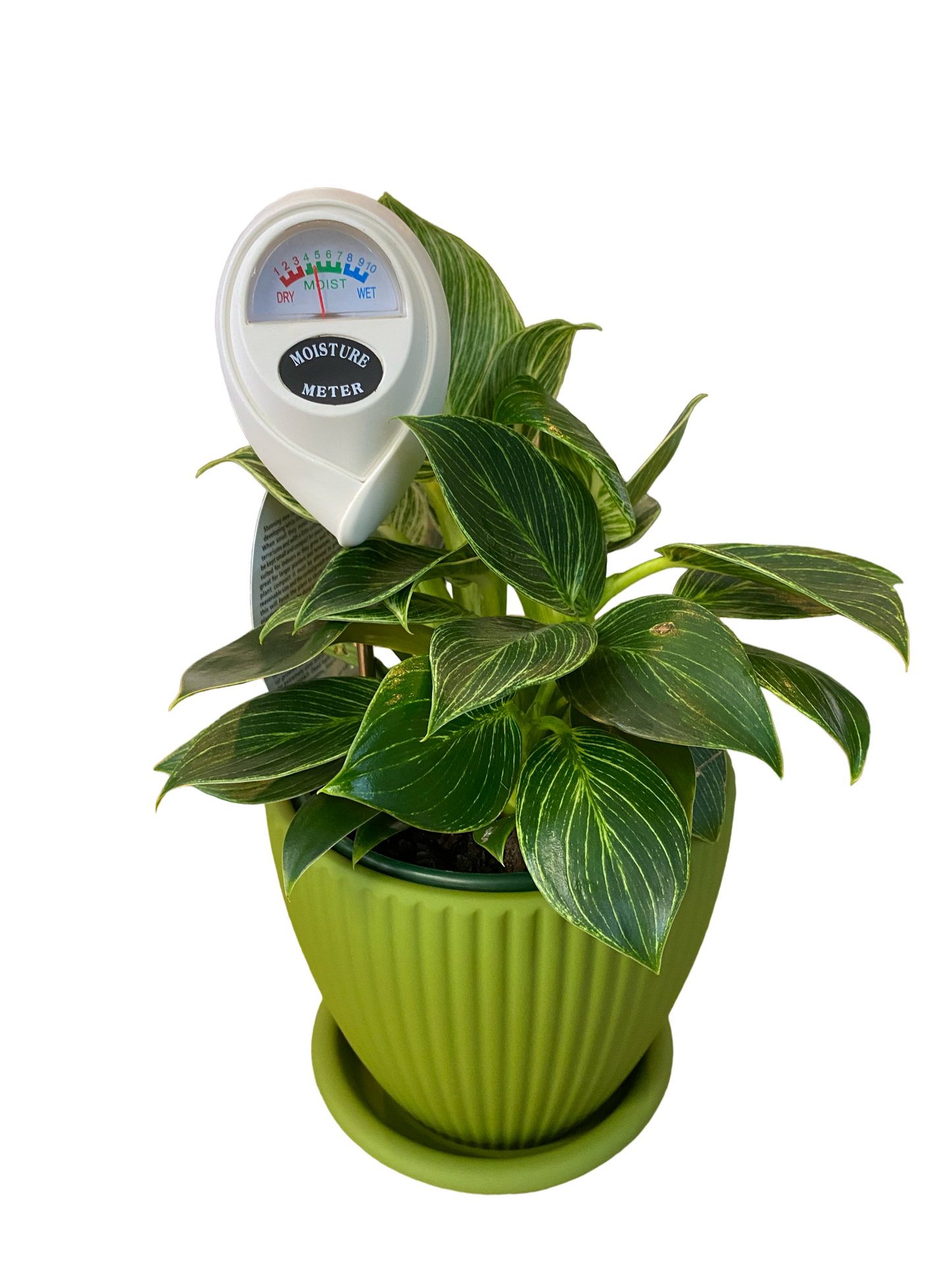 Moisture/Water Meter - White