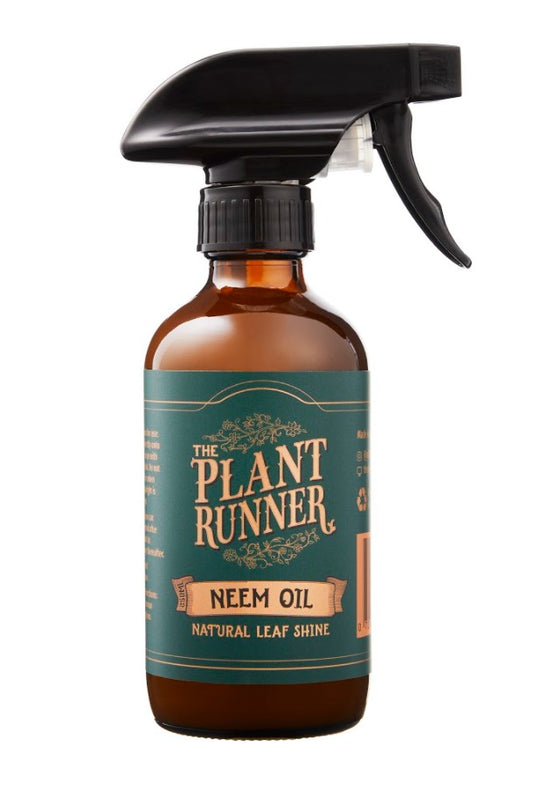 The Plant Runner Neem Oil Leaf Shine