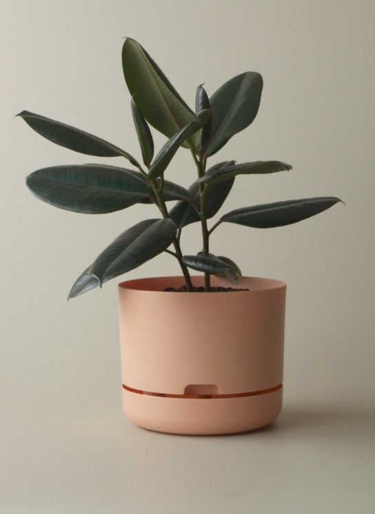 Mr Kitly Self Watering Pots - 250mm