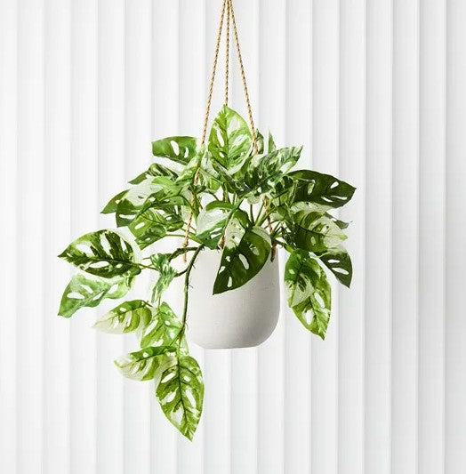 Pot Flo Hanging